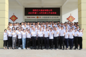 總結過去，計劃未來，協同創新，再創佳績！洛陽正大舉行2023年上半年工作總結會議