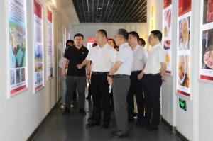 國辦秘書四局副局長管晉華蒞臨洛陽正大食品調研